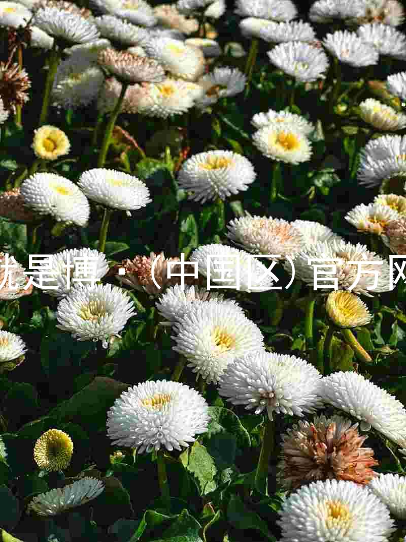 人生就是博·(中国区)官方网站z6